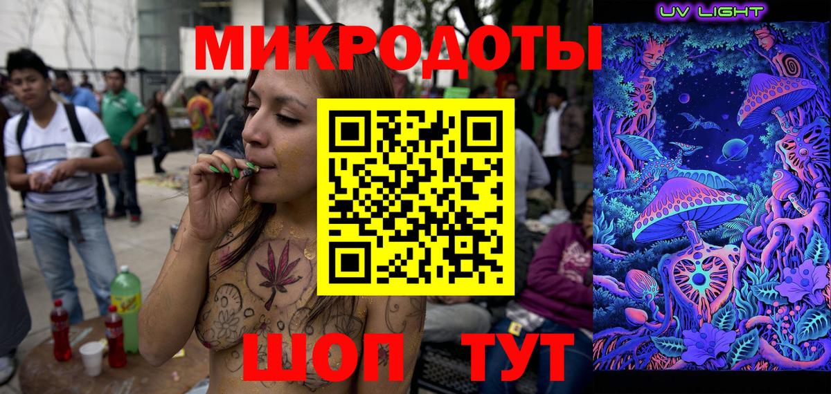 Псилоцибиновые грибы Cubensis Котовск