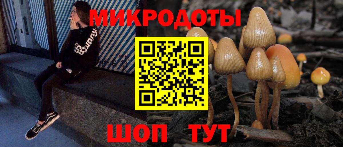 Котовск  Галлюциногенные грибы мицелий  Вход с VPN 